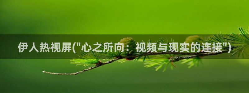 伊人在钱免费视屏：伊人热视屏(\