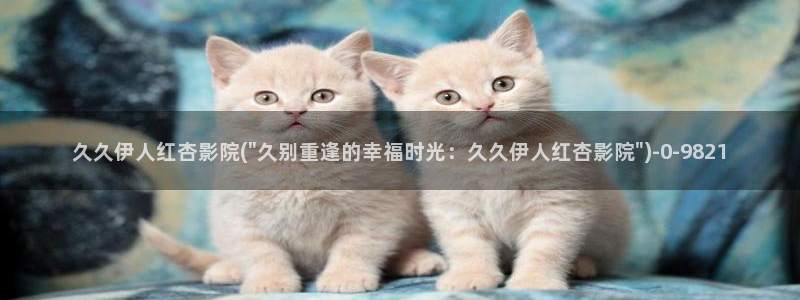 伊人丁香婷婷视屏：久久伊人红杏影院(\