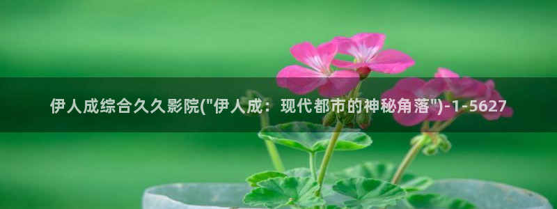 久久伊人香蕉网视频：伊人成综合久久影院(\