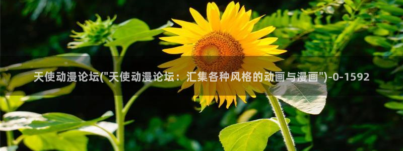 功夫动漫：天使动漫论坛(\
