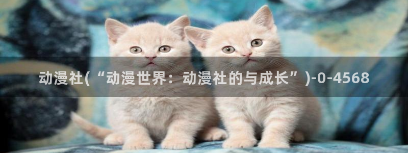 51动漫