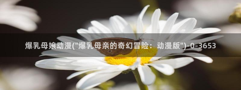 age动漫
