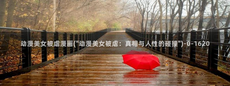 动漫资源