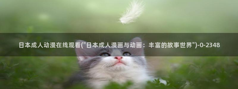 another动漫