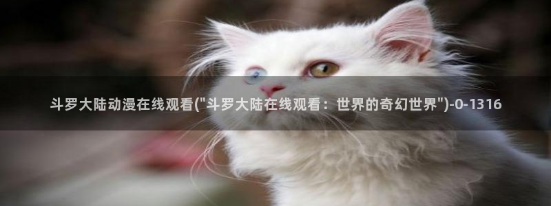 动漫女生
