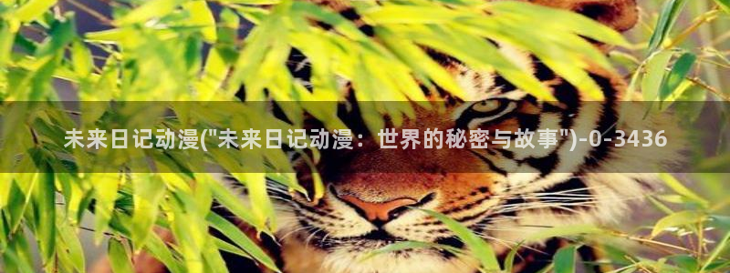 看动漫